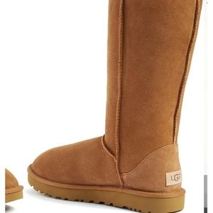 Size 7 CHESTNUT UGGS!